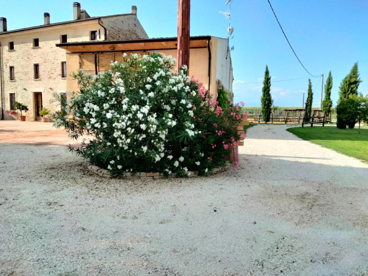 B&B Castel Goffredo San P 3 Exterior foto